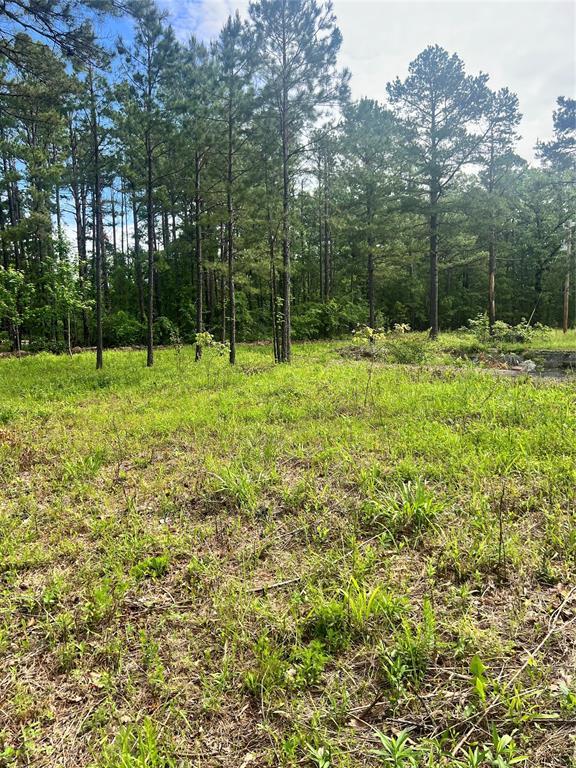 74 N Dana Bell Rd, Broken Bow, OK 74728