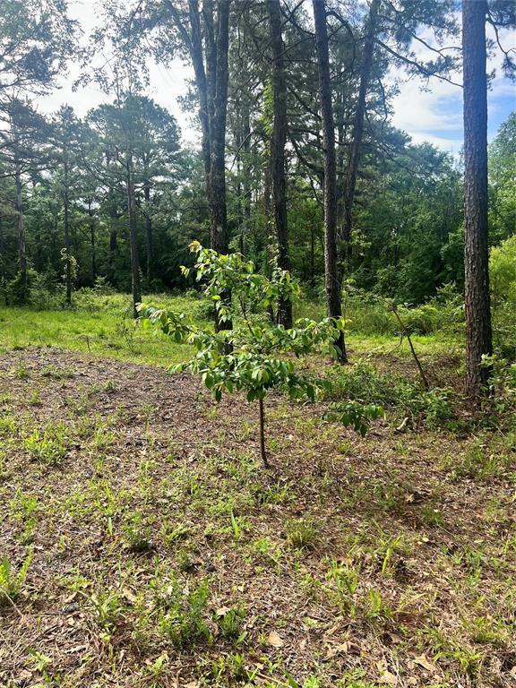 74 N Dana Bell Rd, Broken Bow, OK 74728