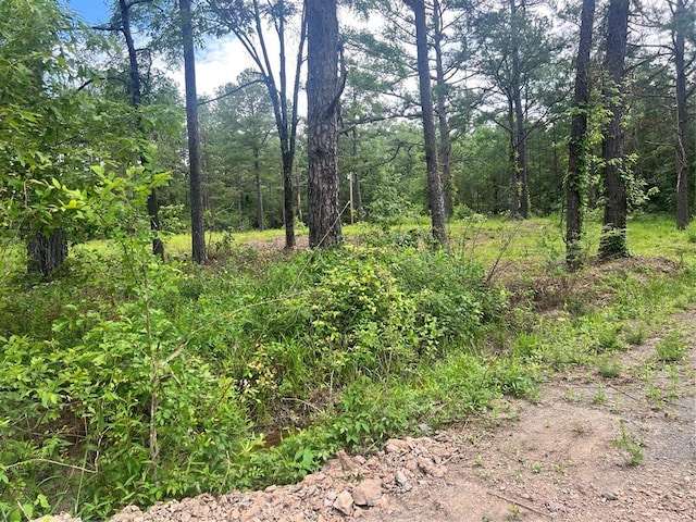 74 N Dana Bell Rd, Broken Bow, OK 74728