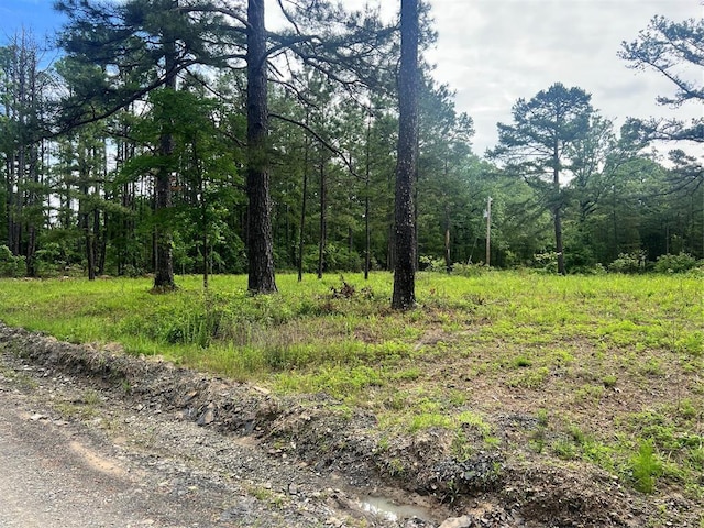 74 N Dana Bell Rd, Broken Bow, OK 74728
