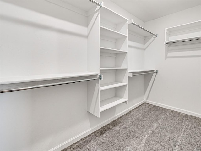 1121 Acacia Creek Dr, Yukon, OK 73099 - walk in closet featuring carpet