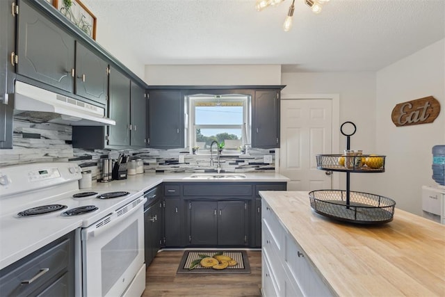 711 Spruce Dr, Yukon, OK 73099 - kitchen with electric range, under cabinet range hood, a sink, tasteful backsplash, and dark wood finished floors