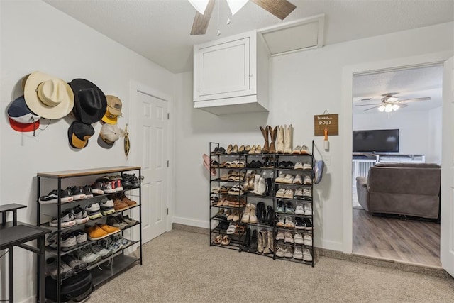 711 Spruce Dr, Yukon, OK 73099 - wine cellar with ceiling fan, carpet, and baseboards