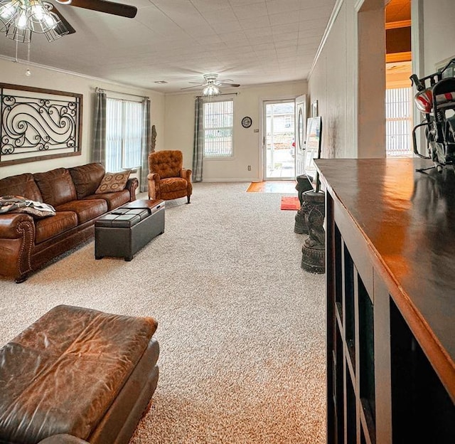 carpeted living area featuring ceiling fan and ornamental molding