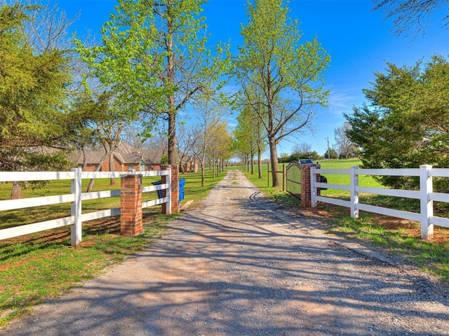 view of dirt / gravel driveway