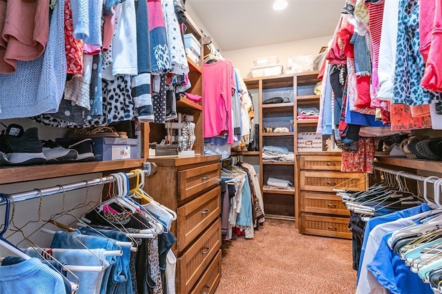 walk in closet with light colored carpet
