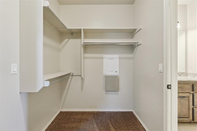 8345 NW 137th St, Oklahoma City, OK 73142 - walk in closet with carpet