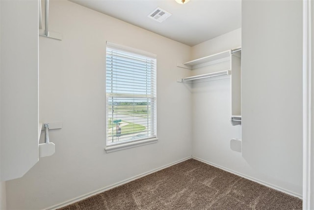 8345 NW 137th St, Oklahoma City, OK 73142 - spacious closet with carpet