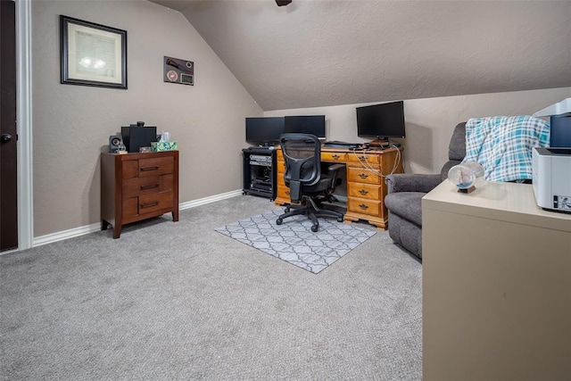 271 Taylam Rd, Goldsby, OK 73093 - office space featuring vaulted ceiling, light carpet, baseboards, and a textured ceiling