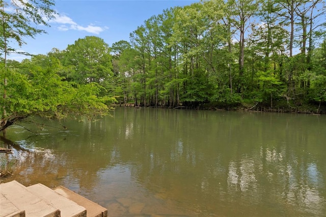 962 Red Fox Rd, Broken Bow, OK 74728 - water view