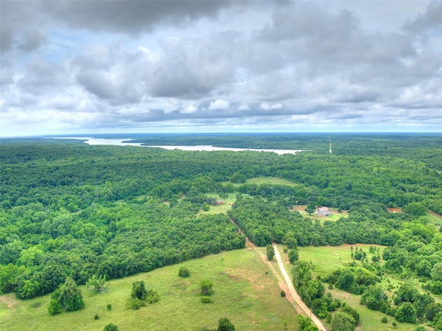 13776 E Stella Rd, Newalla, OK 74857 - aerial view of a heavily wooded area and a nearby body of water