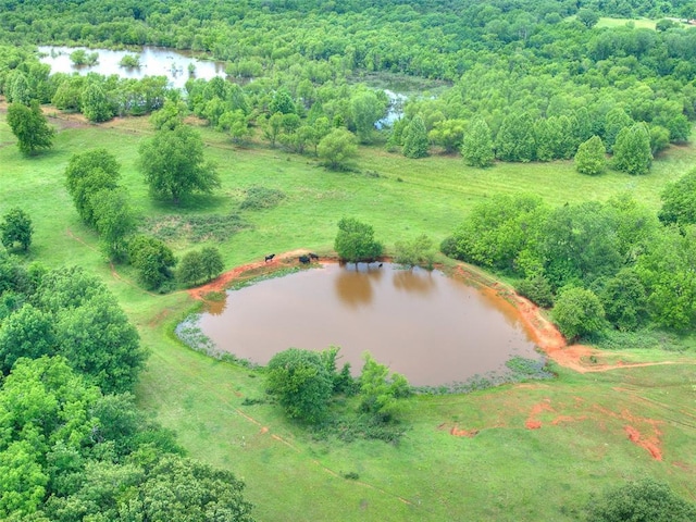 13776 E Stella Rd, Newalla, OK 74857 - aerial view of a nearby body of water and a heavily wooded area