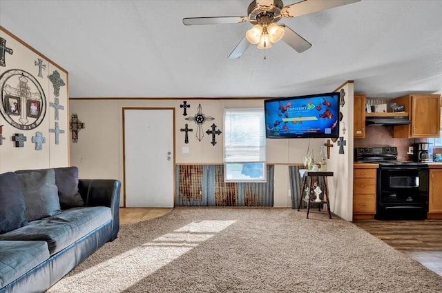 220 N Vernon Ave, Hinton, OK 73047 - living room with ceiling fan
