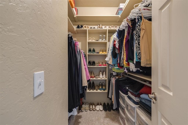 239 Brandon Cir, Goldsby, OK 73093 - walk in closet with carpet