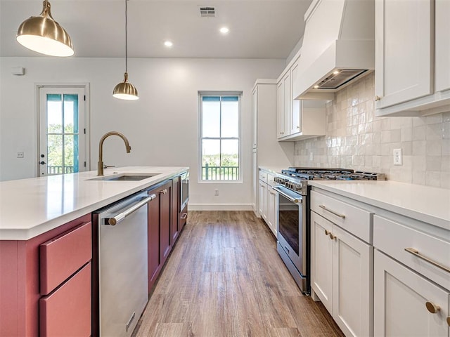 29612 Memory Ln, Norman, OK 73072 - kitchen with a sink, appliances with stainless steel finishes, custom exhaust hood, light wood finished floors, and light countertops