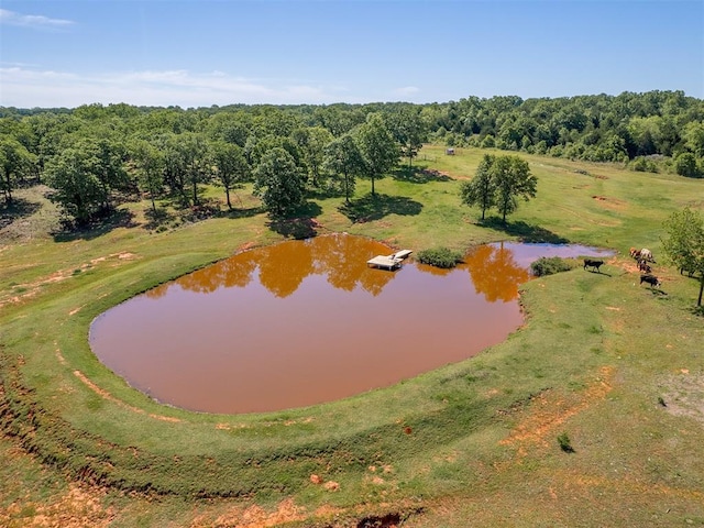 940437 S 3310th Rd, Wellston, OK 74881 - aerial view of a nearby body of water