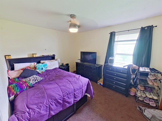 2317 County Road 1268, Blanchard, OK 73010 - bedroom featuring carpet floors and a ceiling fan