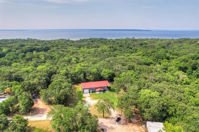 4575 Hidden Path, Kingston, OK 73439 - view of subject property featuring a heavily wooded area and a large body of water