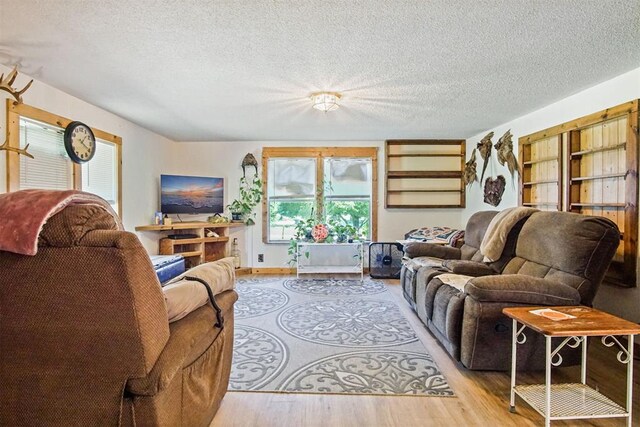 114166 S 4209th Rd, Eufaula, OK 74432 - living room with a textured ceiling and wood finished floors