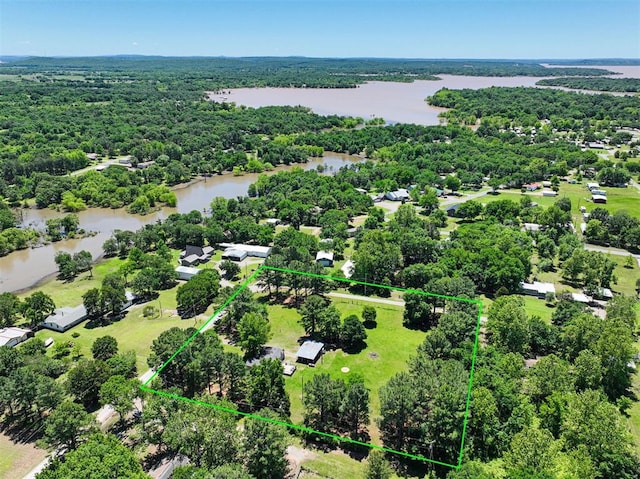 114166 S 4209th Rd, Eufaula, OK 74432 - view of property location with a large body of water, a forest, and property boundaries highlighted