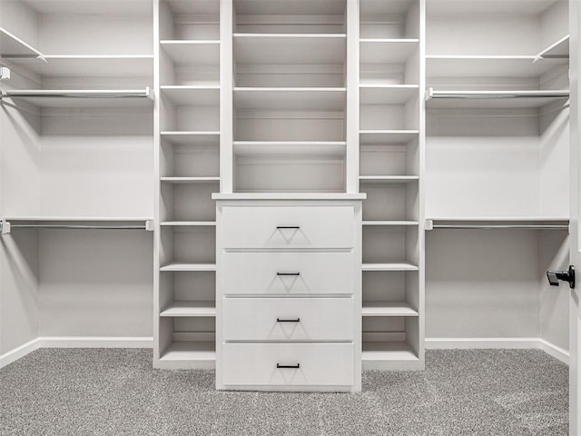 2716 Dunham Dr, Norman, OK 73071 - walk in closet featuring carpet flooring