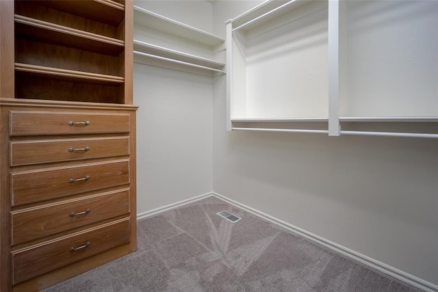 walk in closet featuring carpet flooring