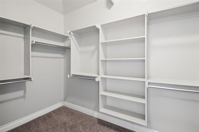 5625 Courtland Ln, Choctaw, OK 73020 - walk in closet with carpet