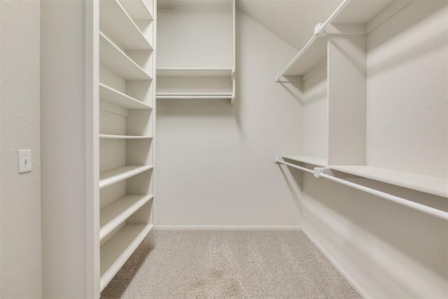6812 NW 149th St, Oklahoma City, OK 73142 - spacious closet with carpet floors