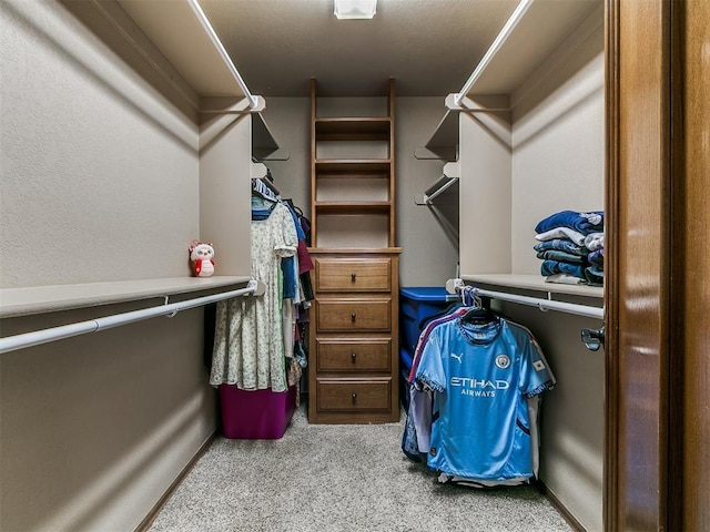 4105 Nailon Dr, Norman, OK 73072 - spacious closet featuring carpet floors