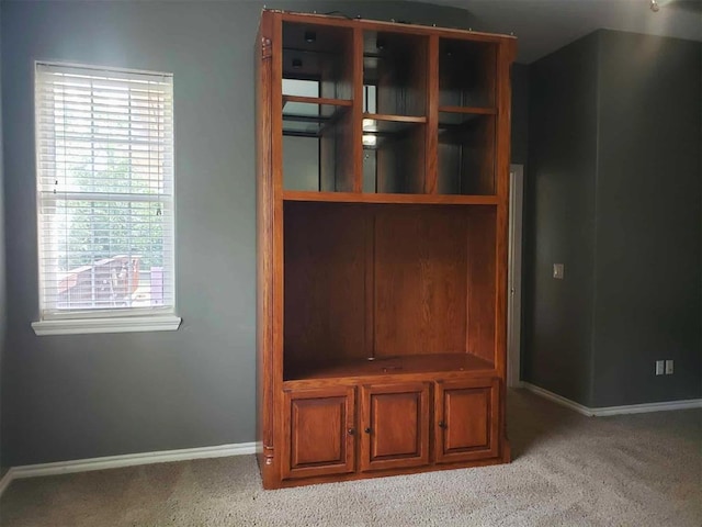 7336 E 136th Rd, Holdenville, OK 74848 - view of closet