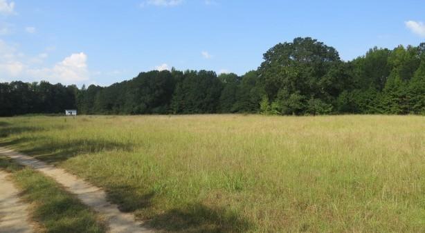 739 Bethel Cemetery Rd, Broken Bow, OK 74728 - photo 2