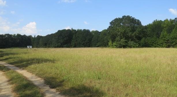 739 Bethel Cemetery Rd, Broken Bow, OK 74728 - photo 3