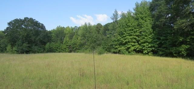 739 Bethel Cemetery Rd, Broken Bow, OK 74728 - photo 4