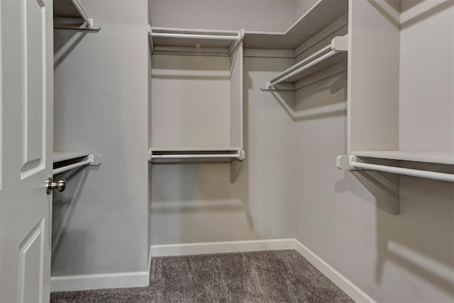 316 SW 4th Pl, Newcastle, OK 73065 - walk in closet with carpet