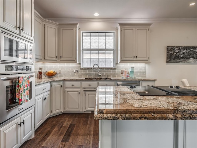 3605 Abbotsford, Norman, OK 73072 - kitchen with stainless steel appliances, a sink, ornamental molding, tasteful backsplash, and dark wood-style flooring
