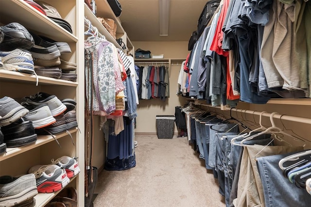 walk in closet featuring carpet flooring