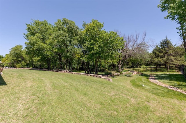 view of green lawn
