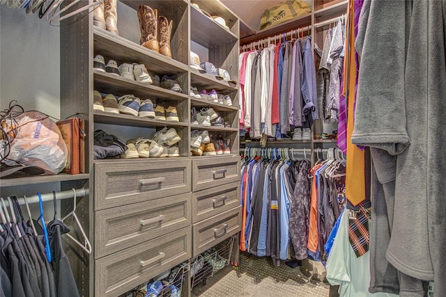 view of spacious closet