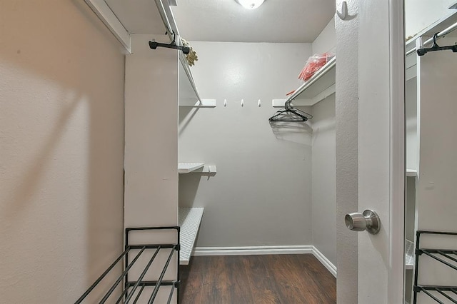 807 Cardinal Creek Blvd Unit C, Norman, OK 73072 - spacious closet with wood finished floors