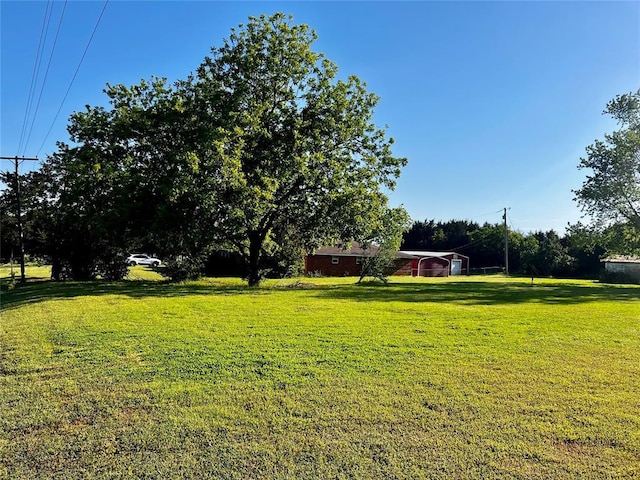 view of green lawn