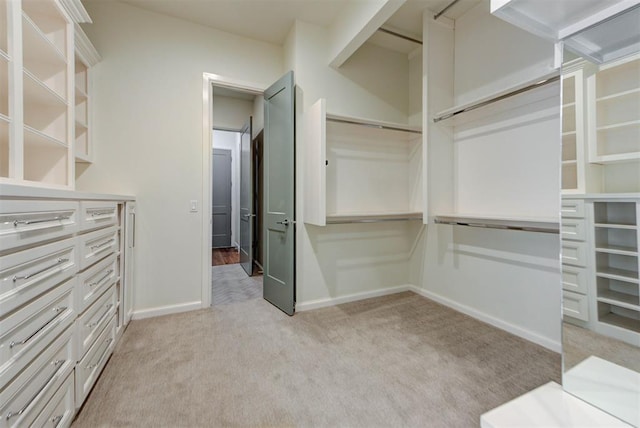 4209 Las Colinas Ln, Norman, OK 73072 - walk in closet with light colored carpet