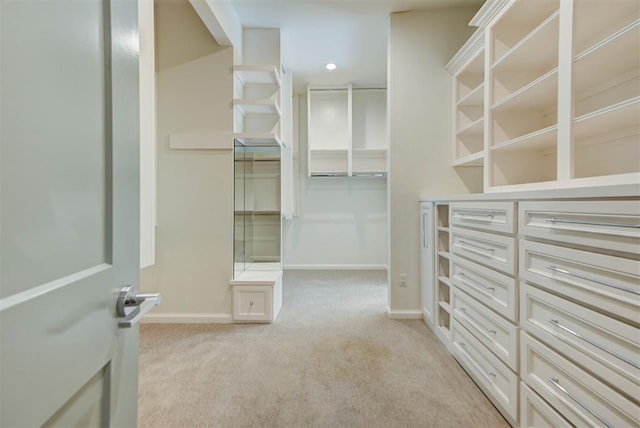 4209 Las Colinas Ln, Norman, OK 73072 - spacious closet with light colored carpet