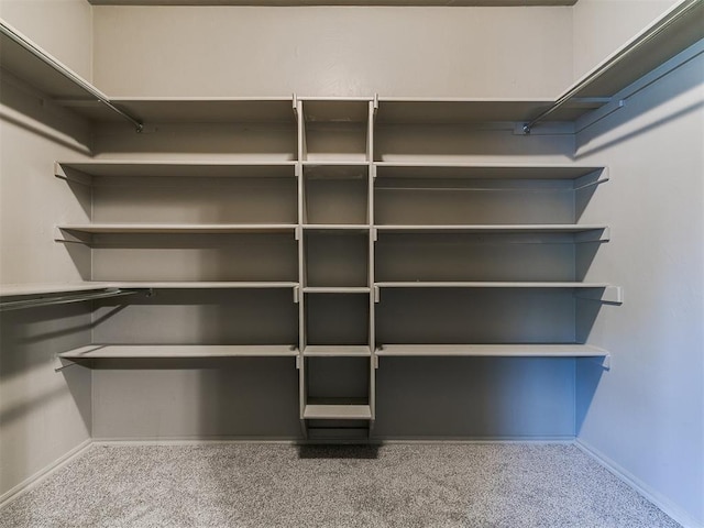 924 Regal Rd, Yukon, OK 73099 - spacious closet with carpet floors
