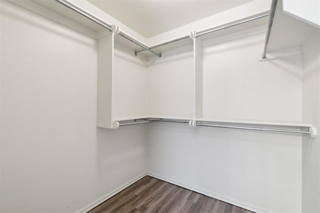 2013 Cedar Meadow Ln, Edmond, OK 73003 - walk in closet with wood finished floors