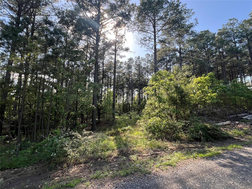 211 Triton Trl, Broken Bow, OK 74728