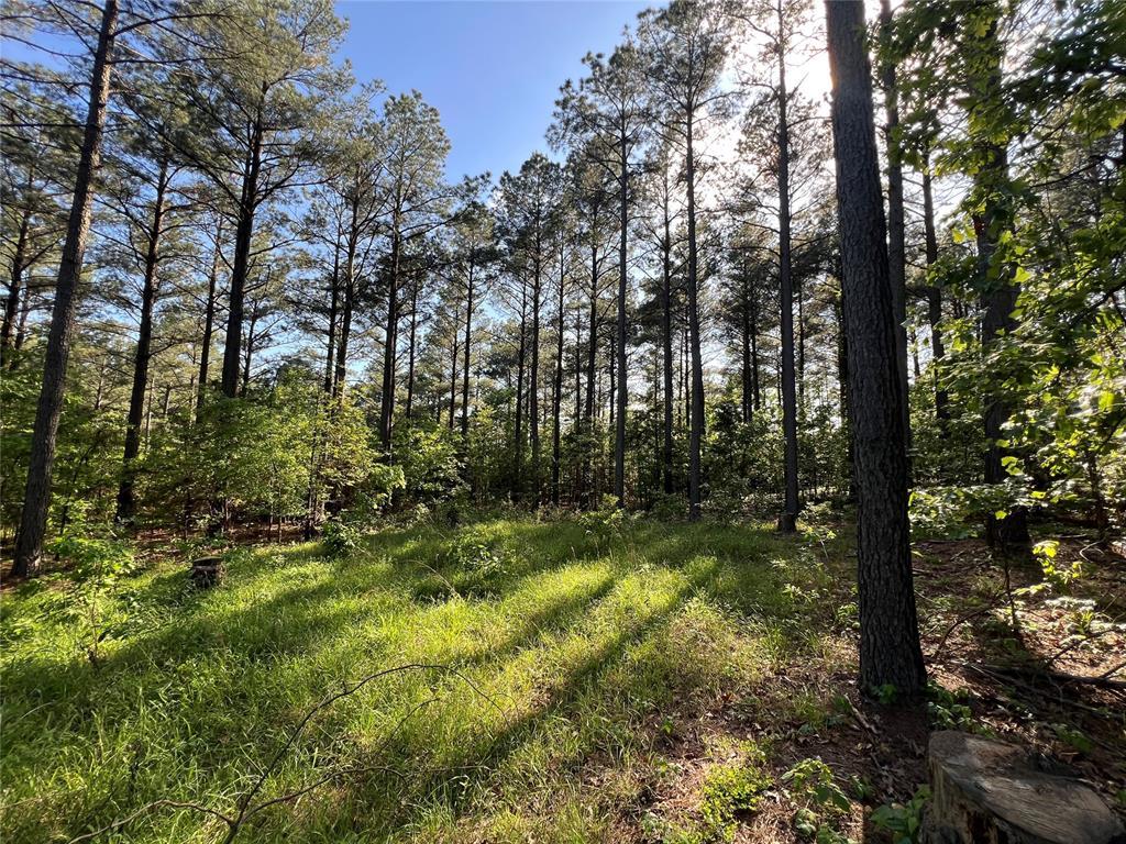 211 Triton Trl, Broken Bow, OK 74728