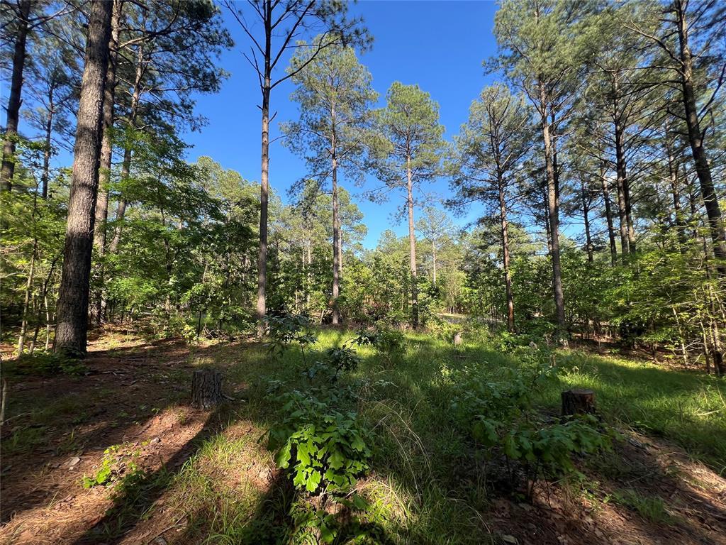 211 Triton Trl, Broken Bow, OK 74728