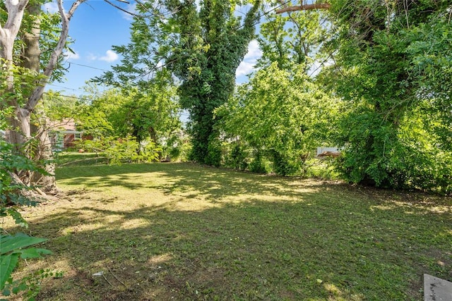 2017 NE 20th St, Oklahoma City, OK 73111 - view of green lawn
