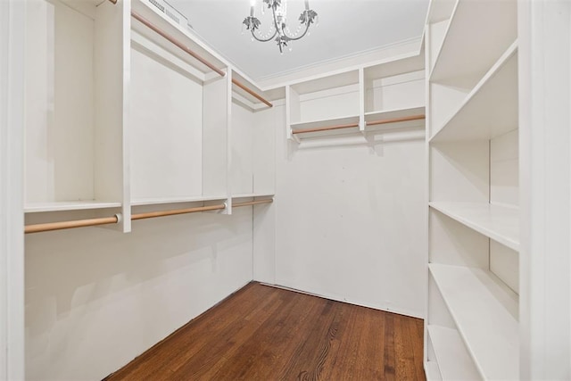 walk in closet with dark wood-style floors and a chandelier