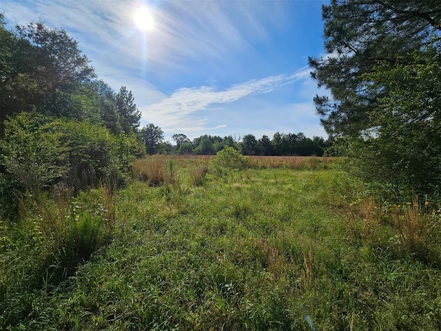 720 Mudline Rd, Eagletown, OK 74734 - view of undeveloped land